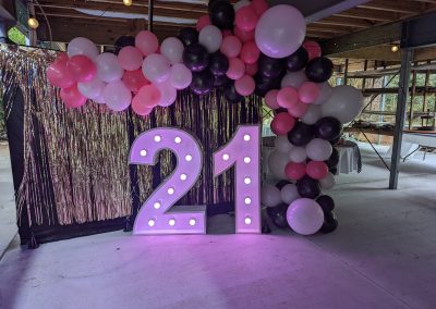 Organic half arch pink white and black